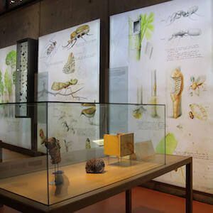 CosmoCaixa tickets