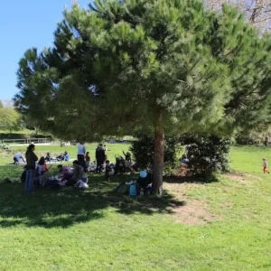 picnic in Barcelona