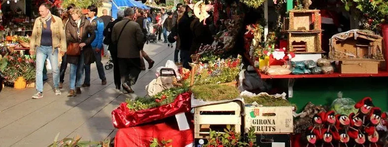 Fira de Santa Llúcia: Barcelona Christmas Market