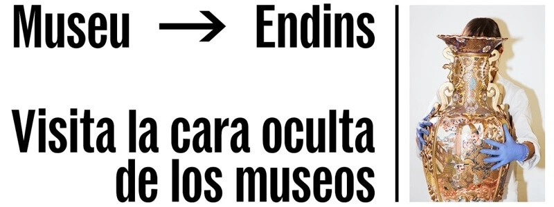 Museu Endins