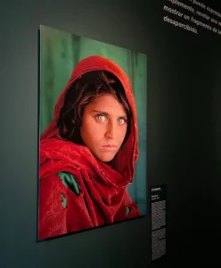 Afghan Girl photograph (Sharbat Gula)