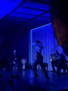 show flamenco La Perla del Born